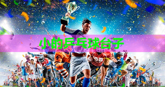 小的乒乓球台子 小的乒乓球台子