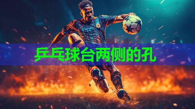 乒乓球台两侧的孔 乒乓球台两侧的孔