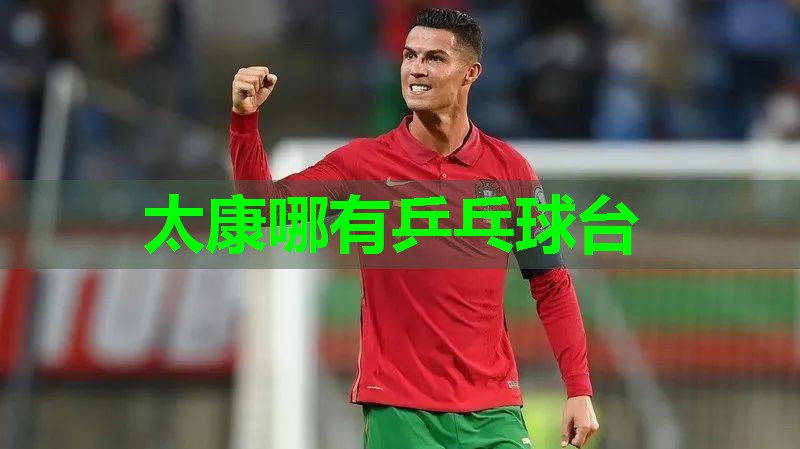 太康哪有乒乓球台