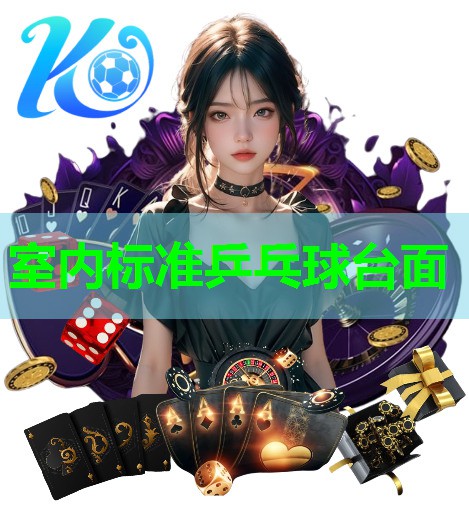 室内标准乒乓球台面 室内标准乒乓球台面