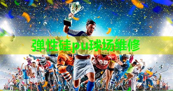 弹性硅pu球场维修 弹性硅pu球场维修