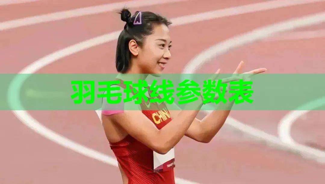 羽毛球线参数表