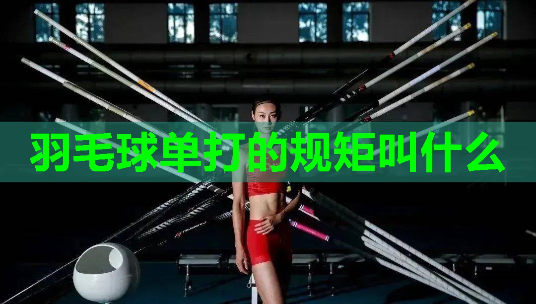 羽毛球单打的规矩叫什么