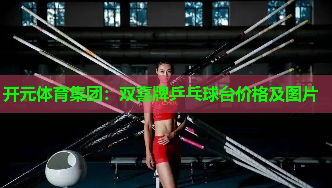 双喜牌乒乓球台价格及图片