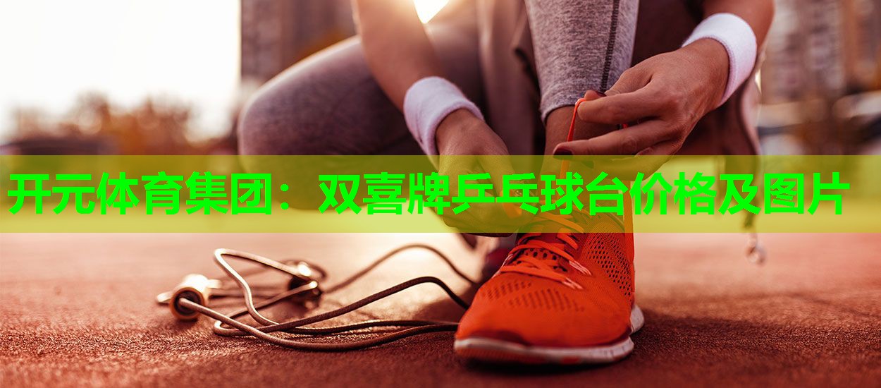 双喜牌乒乓球台价格及图片
