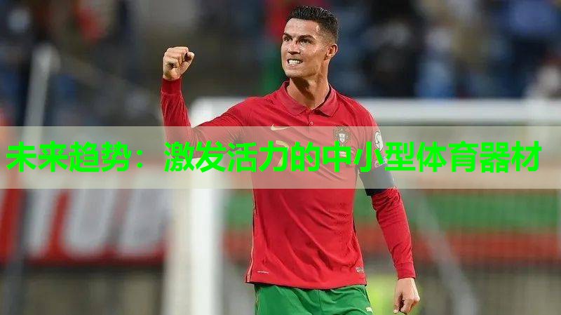 未来趋势：激发活力的中小型体育器材