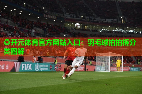 羽毛球拍拍框分类图解