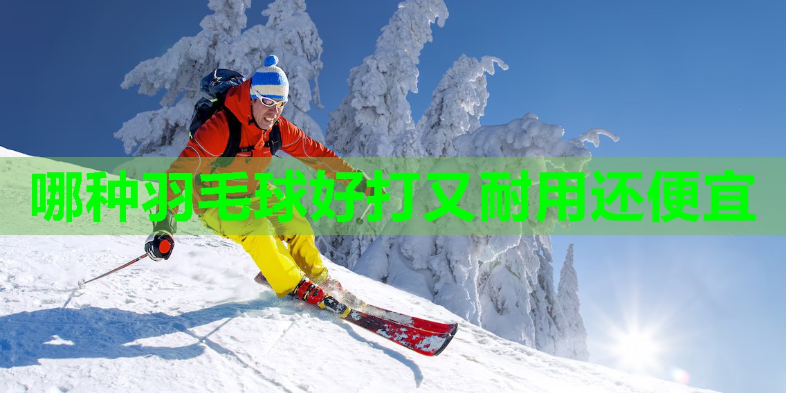 哪种羽毛球好打又耐用还便宜